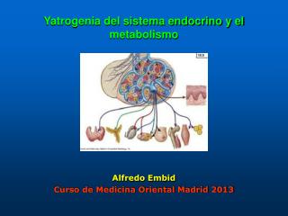 Yatrogenia del sistema endocrino y el metabolismo