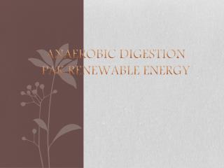 Anaerobic Digestion PAK RENEWABLE ENERGY