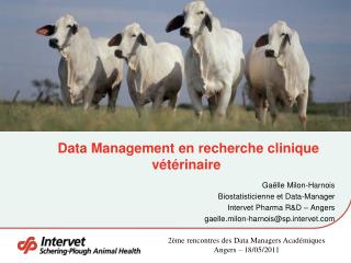 Data Management en recherche clinique vétérinaire