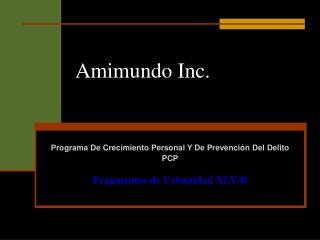 Amimundo Inc.