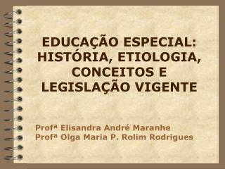 EDUCAÇÃO ESPECIAL: HISTÓRIA, ETIOLOGIA, CONCEITOS E LEGISLAÇÃO VIGENTE