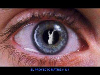 EL PROYECTO MATRIZ # 131