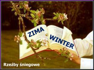 ZIMA