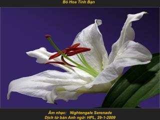 Âm nhạc: Nightengale Serenade Dịch từ bản Anh ngữ: HPL, 29-1-2009