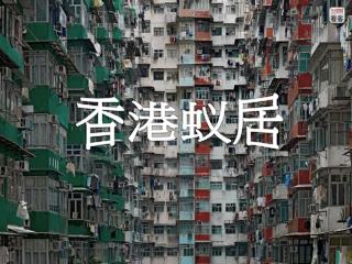 香港蚁居