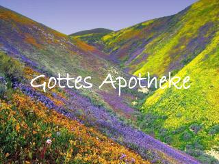 Gottes Apotheke