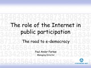 The role of the Internet in public participation