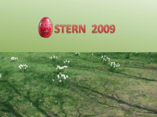 STERN 2009