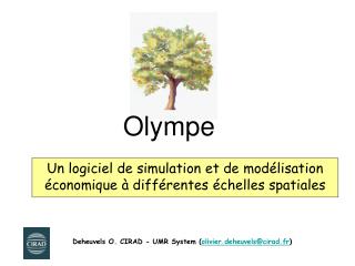 Un logiciel de simulation et de modélisation économique à différentes échelles spatiales