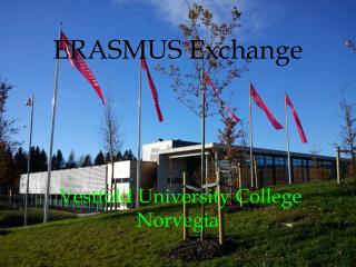 ERASMUS Exchange Vestfold University College Norvegia