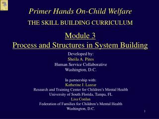 THE SKILL BUILDING CURRICULUM Module 3 Process and Structures in System Building