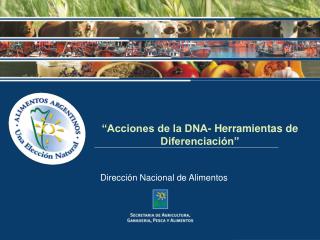 “Acciones de la DNA- Herramientas de Diferenciación”