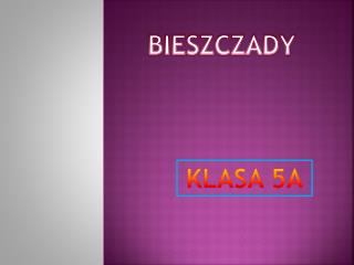 BIESZCZADY