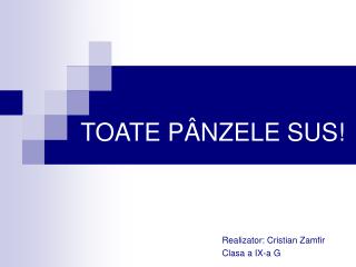 TOATE PÂNZELE SUS!