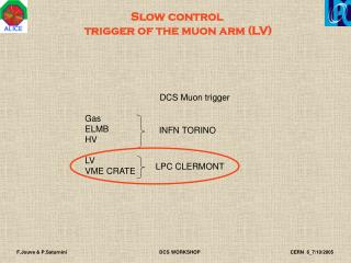 DCS Muon trigger Gas ELMB HV LV VME CRATE
