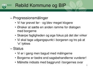 Rebild Kommune og BIP