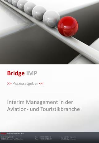 Bridge IMP &gt;&gt; Praxisratgeber &lt;&lt; Interim Management in der Aviation- und Touristikbranche