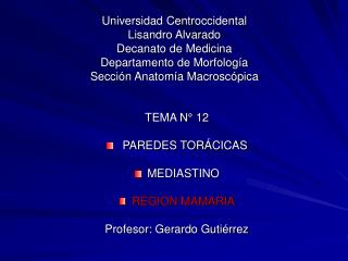 TEMA N° 12 PAREDES TORÁCICAS MEDIASTINO REGION MAMARIA Profesor: Gerardo Gutiérrez