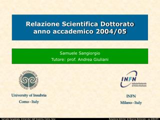 Relazione Scientifica Dottorato anno accademico 2004/05
