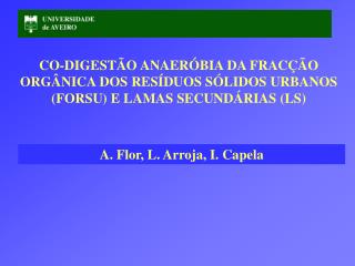 A. Flor, L. Arroja, I. Capela