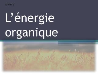 L’énergie organique