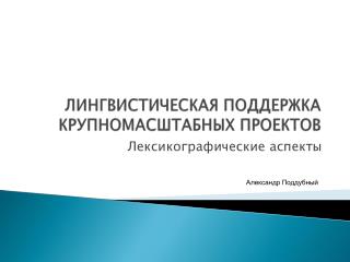 ЛИНГВИСТИЧЕСКАЯ ПОДДЕРЖКА КРУПНОМАСШТАБНЫХ ПРОЕКТОВ