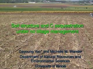 Soil structure and C sequestration under no tillage management