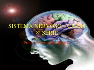 SISTEMA NERVOSO – CAP.14 8ª SÉRIE