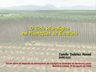 O Ciclo Hidrológico em Plantações de Eucalipto