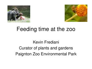 Feeding time at the zoo