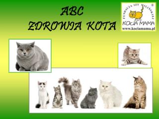 ABC ZDROWIA KOTA