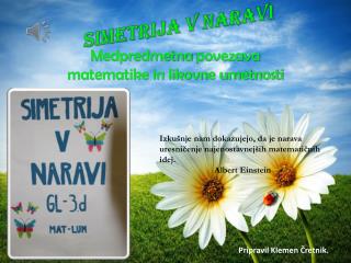 Simetrija v naravi