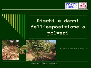 Rischi e danni dell’esposizione a polveri