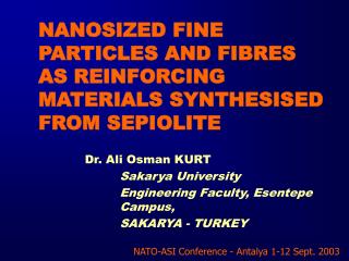 NANOSIZED FINE PARTICLES AND FIBRES AS REINFORCING MATERIALS SYNTHESISED FROM SEPIOLITE