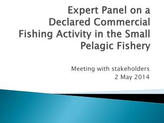 Expert Panel on a Declared Commercial Fishing Activity in the Small Pelagic Fishery