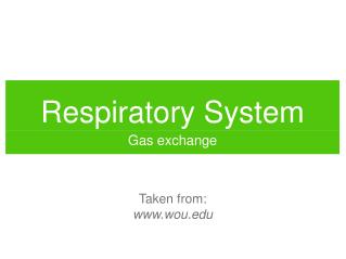 Respiratory System