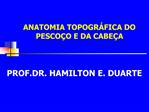 ANATOMIA TOPOGR FICA DO PESCO O E DA CABE A