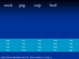 sock pig cup bed