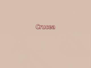 Crucea