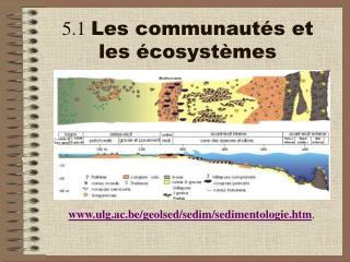 5.1 Les communautés et les écosystèmes