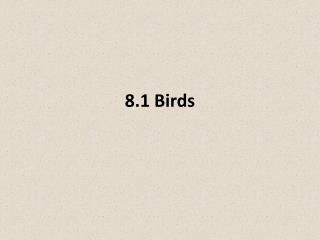 8.1 Birds