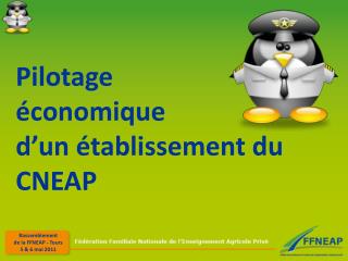 Pilotage économique d’un établissement du CNEAP