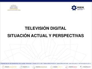 TELEVISIÓN DIGITAL SITUACIÓN ACTUAL Y PERSPECTIVAS