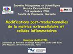 Modifications post-traductionnelles de la matrice extracellulaire et cellules inflammatoires