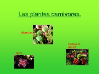 Les plantes carnivores.