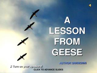 A LESSON FROM GEESE