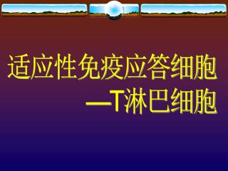 适应性免疫应答细胞 —T 淋巴细胞