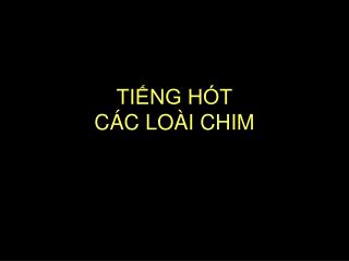 TIẾNG HÓT CÁC LOÀI CHIM