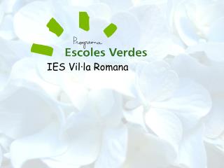 IES Vil·la Romana