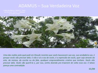 ADAMUS – SOBRE A VOZ